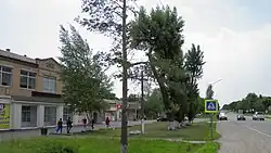 Село Хороль, ул. Ленинская около дома 59