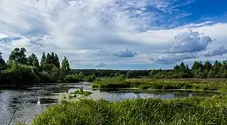 Семиозёрский лес и река Солонка