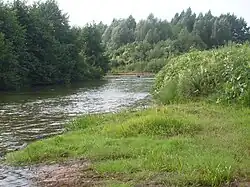 Сивинь в районе села Старое Синдрово Краснослободского района Мордовии