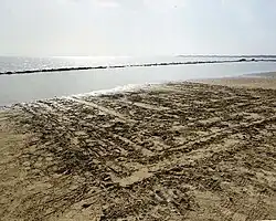 «Скифский ковёр»