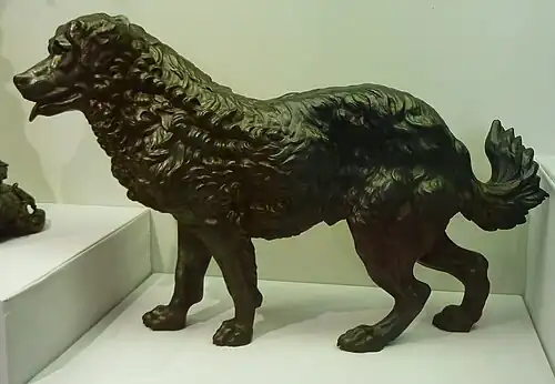 Собака-водолаз