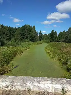 Река в селе Дыхановка