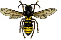 изображение рабочего