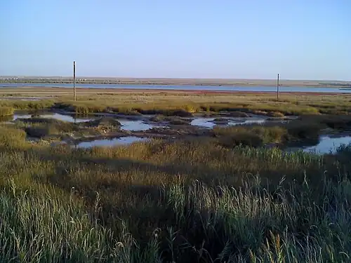 Солончаки у западного побережья озера и само озеро (на заднем плане)