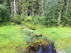 Вид по течению