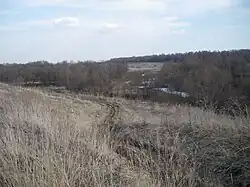 Сентушка на южной окраине деревни Домачево