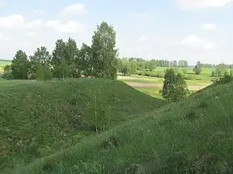 Городище периода средневековья в  Старая Мышь