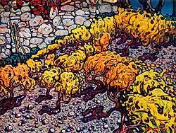 С. Г. Мамчич.„Старый виноградник“,1966