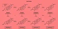 Биосинтез гестогенов