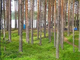 Туристическая стоянка на острове