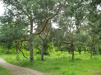 Парк в 2016 году