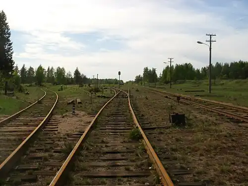 Вид на станционные пути в западном направлении с переезда