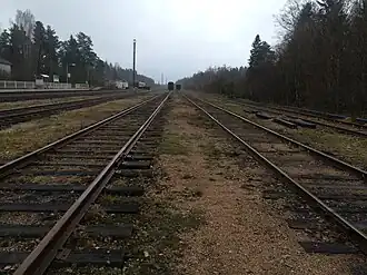 Пути станции. Вид в сторону ст. Прибылово.