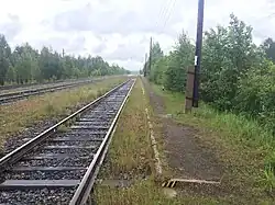 Пассажирская платформа. Вид в сторону ст. Муезерка.