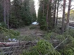 Полотно разобранного подъездного пути.