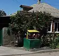 Сумах на юге России, общий вид на фоне дома.