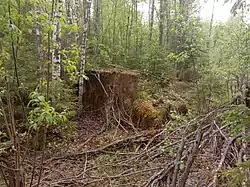 Ступени бывшего вокзала.