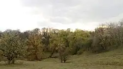 Яры в окрестностях села Сухины