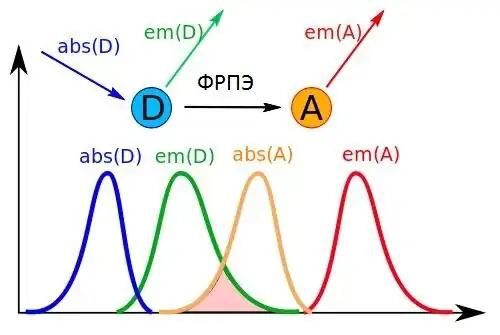 Fret — emission spectra scheme.svg
