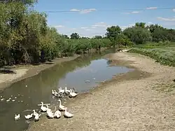 Вид на среднее течение реки Лозная в селе Лозное летом 2012 года