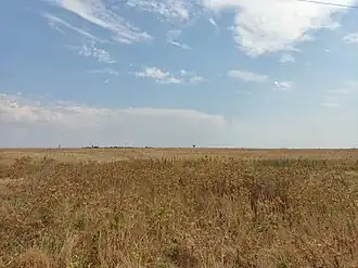 Степь, село Молочное, Сакский район