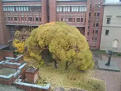 Двор пятого корпуса СПбГЭТУ «ЛЭТИ»