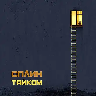 Обложка альбома Сплин «Тайком» (2019)