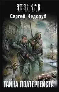 Обложка книги Сергея Недоруба «Тайна полтергейста»
