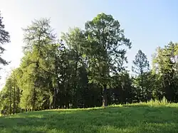 Парк "Юзефполье"