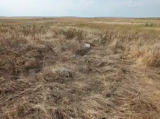 Остатки бывшего села