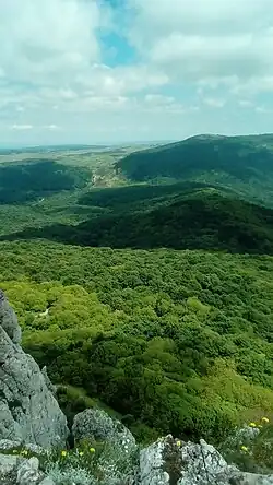 Хребет Таш-Хабах, на заднем плане массив Каратау (фото А. Трифонова)