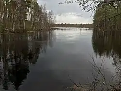 Тикшозерка. Вид против течения.