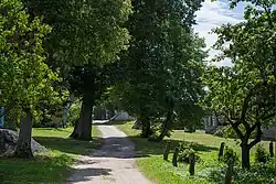 Тиневичи. Главная улица