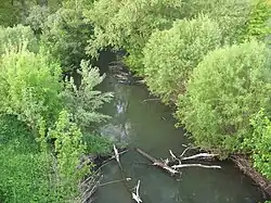 Река с моста на трассе Губарево - Медвежье