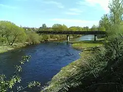 Пскова у трубопроводного моста выше Инженерного моста