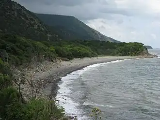 Горы, поросшие можжевельником, и полоса берега Чёрного моря на территории Утришского заказника