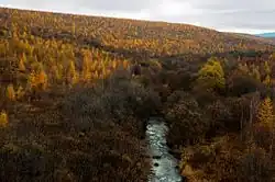 Верховья речки, съёмка с моста автодороги Р-454