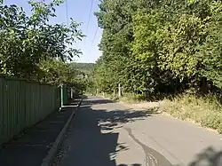 Хуторской переулок (справа — Голосеевский лес)