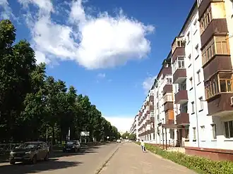 Проезжая часть улицы Олега Кошевого