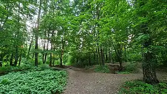 Урочище Лесные Сараи