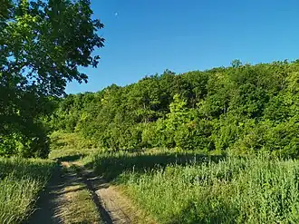 Леса Валуйского городского округа18 октября 2020