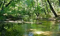 Устье реки Арчеда