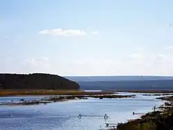 Устье реки Чадобец