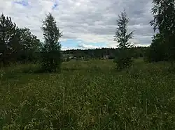 Вид на деревню