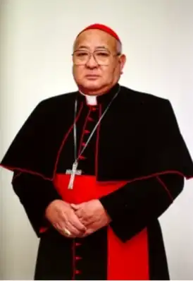 Стефан Фумио Хамао