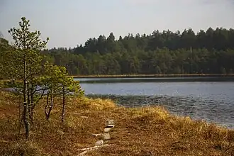 Побережье озера Хотомля осенью