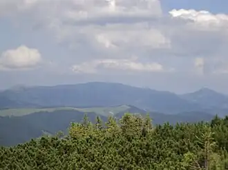 Синяк из Чёрная Клева