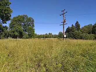 Луга на месте б. деревни Веретье