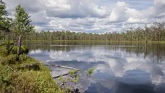 Озеро 12 июля 2020 года