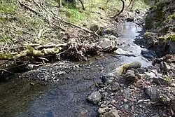 Четтеке-Узень под Аю-Дагом, весна 2012 года